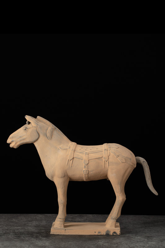 45CM Horse - CLAYARMY -Aerial view showcasing the overall elegance and artistic intricacies of our 45CM Clayarmy Terracotta Horse.